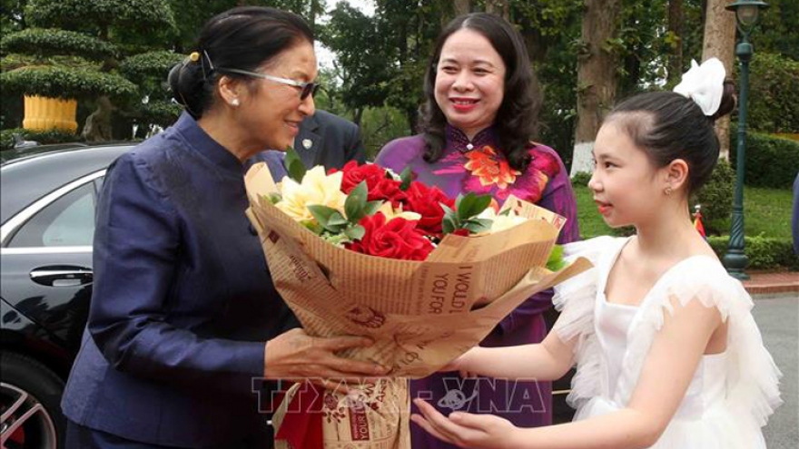 Laos Vice President Pany Yathotou visits Vietnam